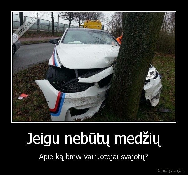 Jeigu nebūtų medžių - Apie ką bmw vairuotojai svajotų?