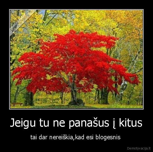 Jeigu tu ne panašus į kitus - tai dar nereiškia,kad esi blogesnis 