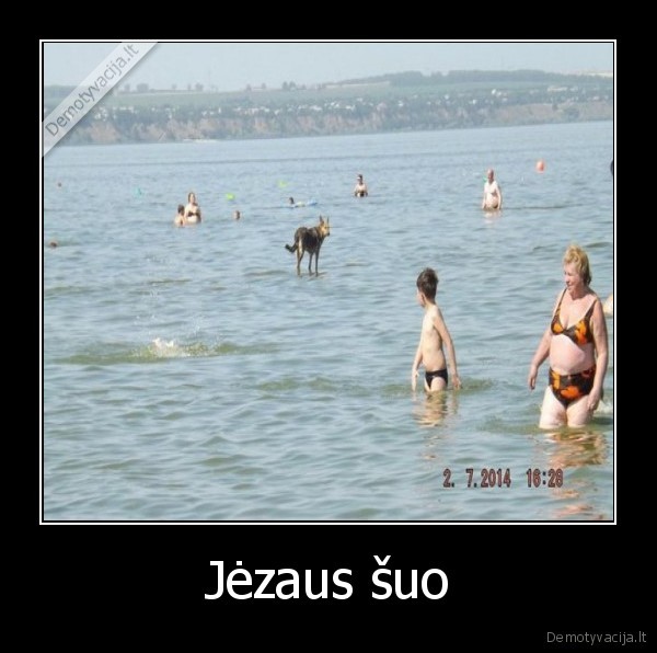 Jėzaus šuo - 