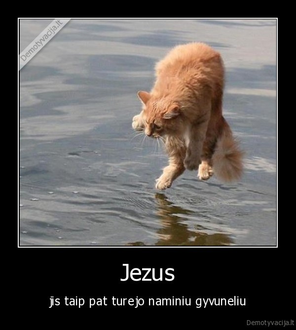 Jezus - jis taip pat turejo naminiu gyvuneliu