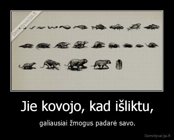 Jie kovojo, kad išliktu, - galiausiai žmogus padarė savo.