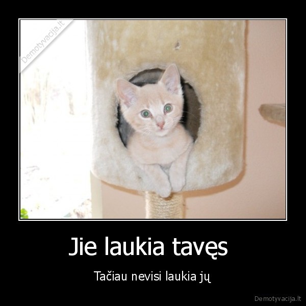 Jie laukia tavęs  - Tačiau nevisi laukia jų