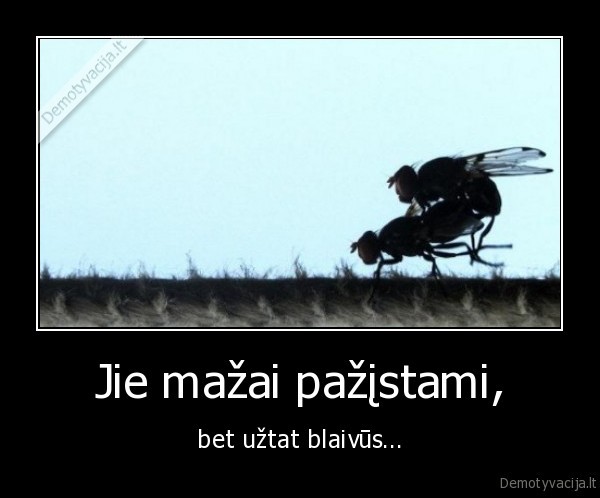 Jie mažai pažįstami, - bet užtat blaivūs...