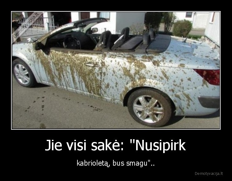 Jie visi sakė: "Nusipirk - kabrioletą, bus smagu"..