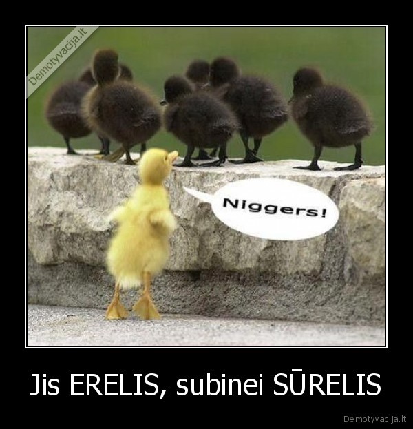 Jis ERELIS, subinei SŪRELIS - 