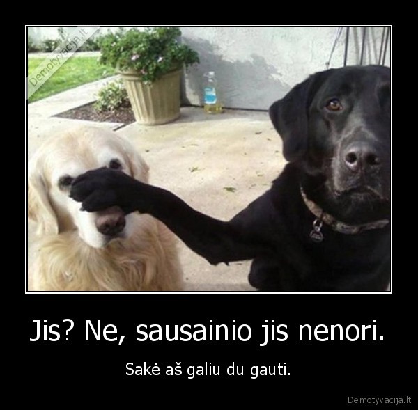 Jis? Ne, sausainio jis nenori. - Sakė aš galiu du gauti.