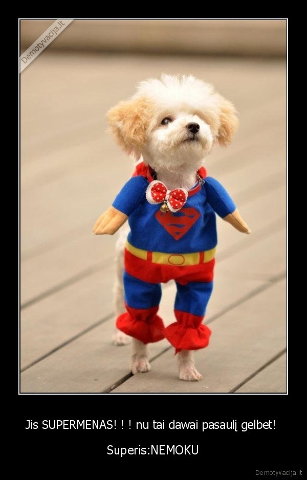 Jis SUPERMENAS! ! ! nu tai dawai pasaulį gelbet!  - Superis:NEMOKU