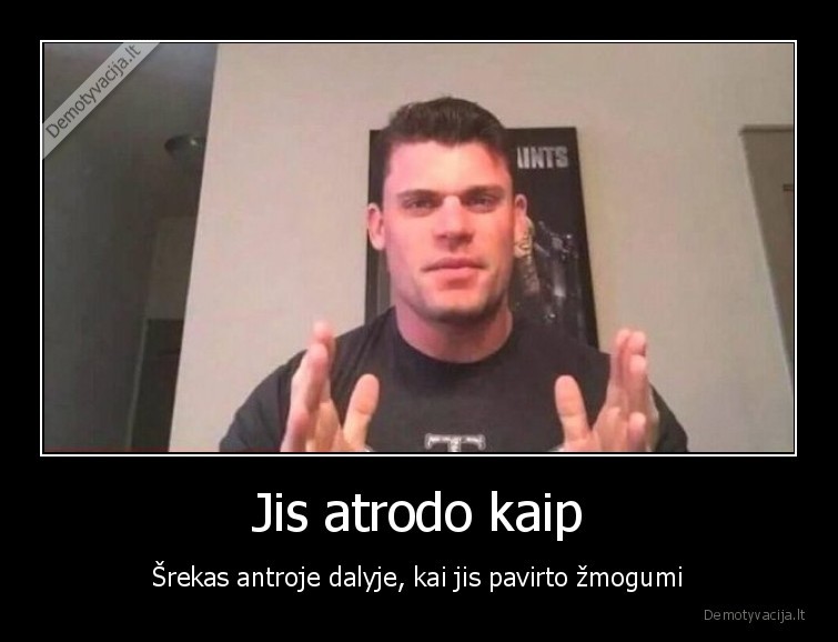 Jis atrodo kaip - Šrekas antroje dalyje, kai jis pavirto žmogumi