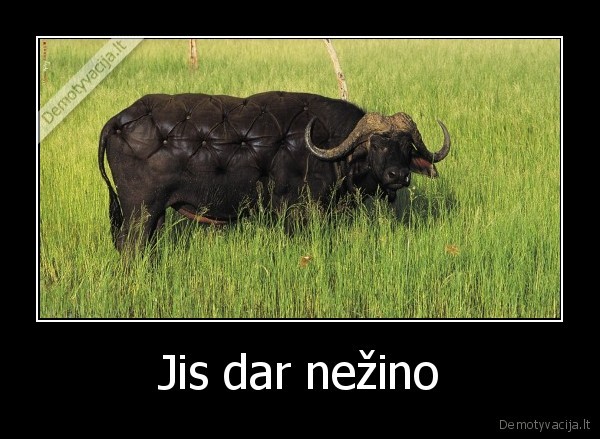 Jis dar nežino - 