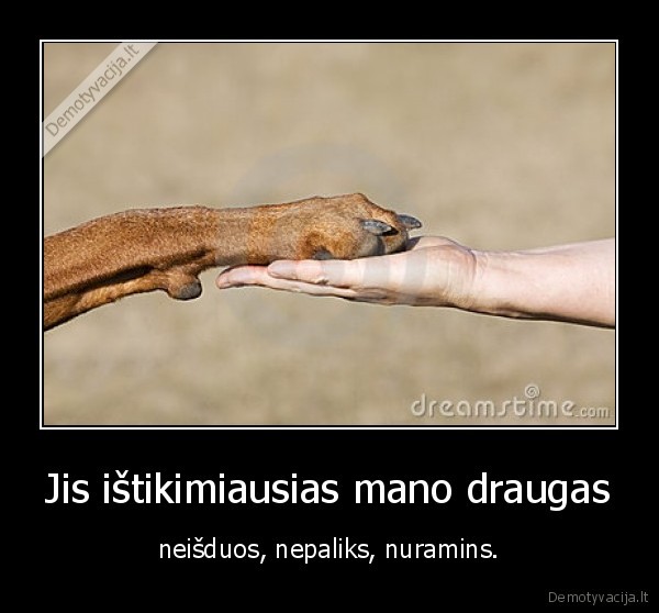 Jis ištikimiausias mano draugas - neišduos, nepaliks, nuramins.