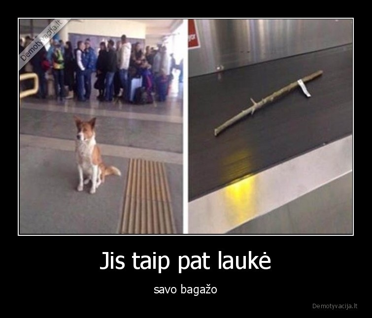 Jis taip pat laukė - savo bagažo