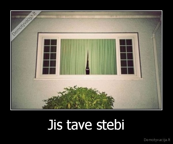 Jis tave stebi - 