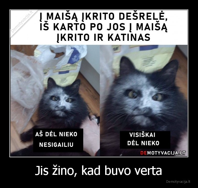 Jis žino, kad buvo verta - 