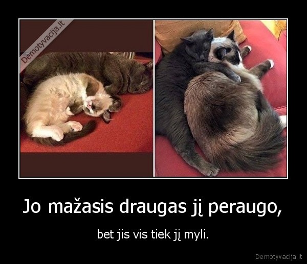 Jo mažasis draugas jį peraugo, - bet jis vis tiek jį myli.