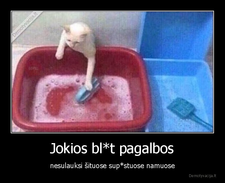 Jokios bl*t pagalbos - nesulauksi šituose sup*stuose namuose