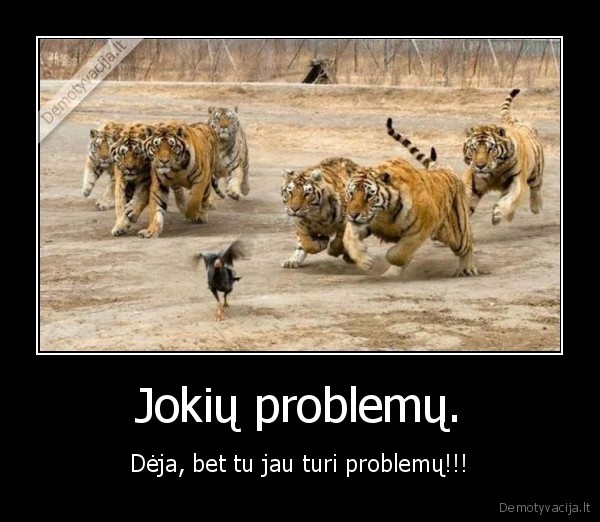 Jokių problemų. - Dėja, bet tu jau turi problemų!!!