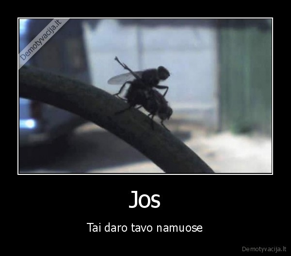 Jos - Tai daro tavo namuose