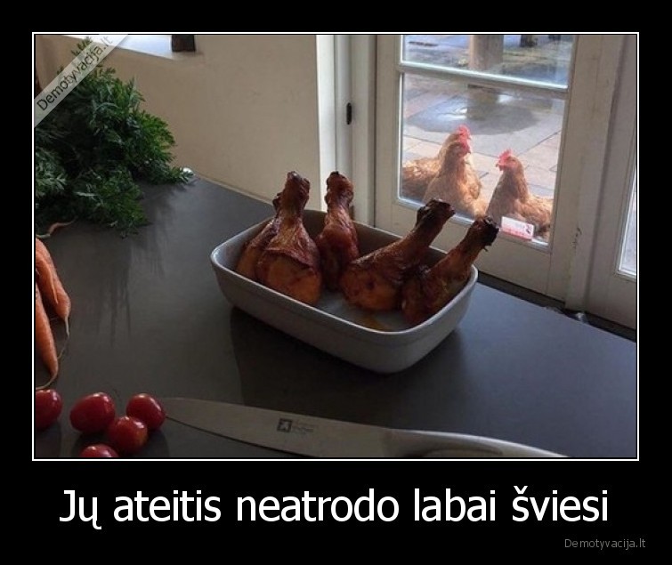 Jų ateitis neatrodo labai šviesi - 