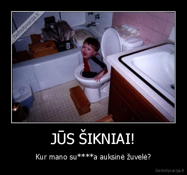 JŪS ŠIKNIAI! - Kur mano su****a auksinė žuvelė?