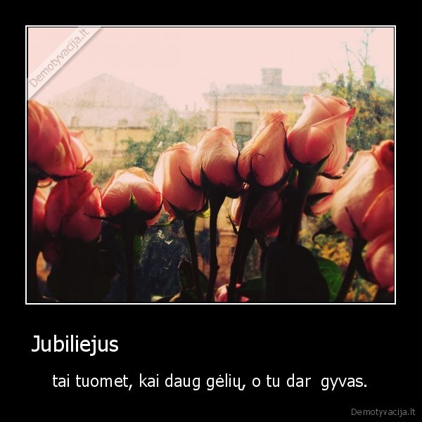 Jubiliejus                                         - tai tuomet, kai daug gėlių, o tu dar  gyvas.