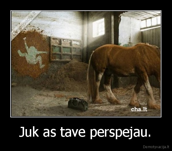 Juk as tave perspejau. - 