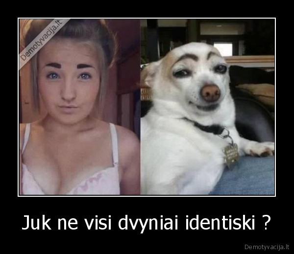 Juk ne visi dvyniai identiski ? - 