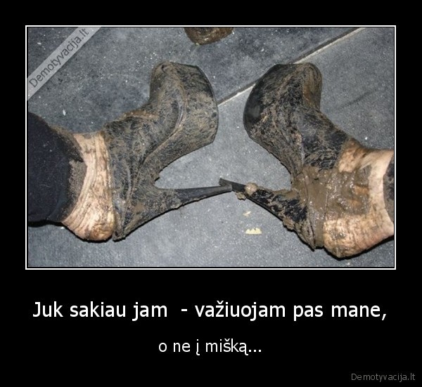 Juk sakiau jam  - važiuojam pas mane, - o ne į mišką...