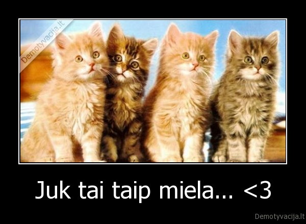 Juk tai taip miela... <3 - 