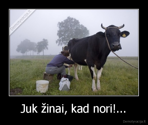 Juk žinai, kad nori!... - 