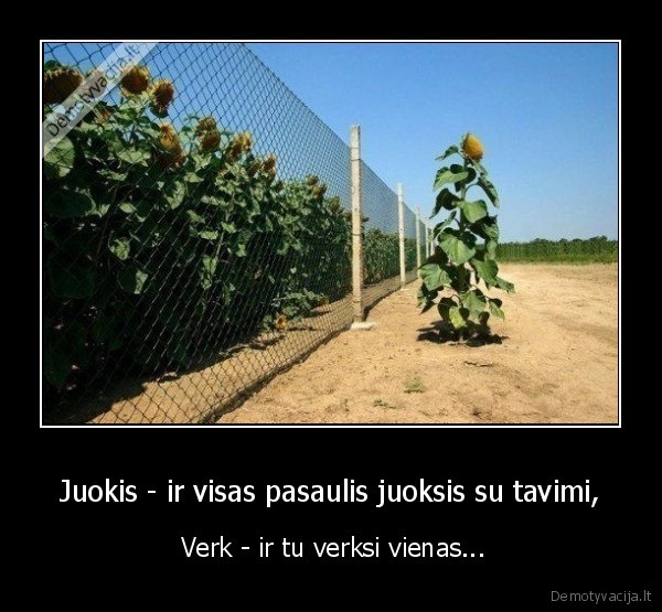 Juokis - ir visas pasaulis juoksis su tavimi, -  Verk - ir tu verksi vienas...