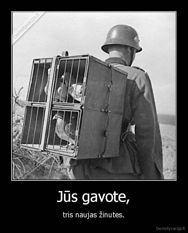 Jūs gavote, - tris naujas žinutes.