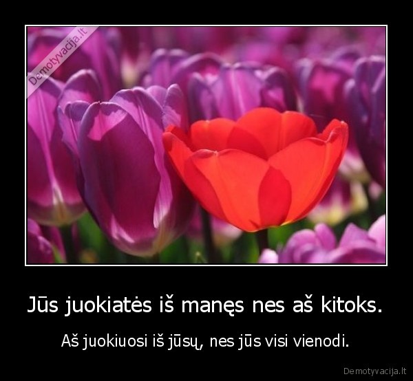 Jūs juokiatės iš manęs nes aš kitoks. - Aš juokiuosi iš jūsų, nes jūs visi vienodi.