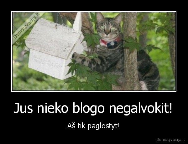 Jus nieko blogo negalvokit! - Aš tik paglostyt!