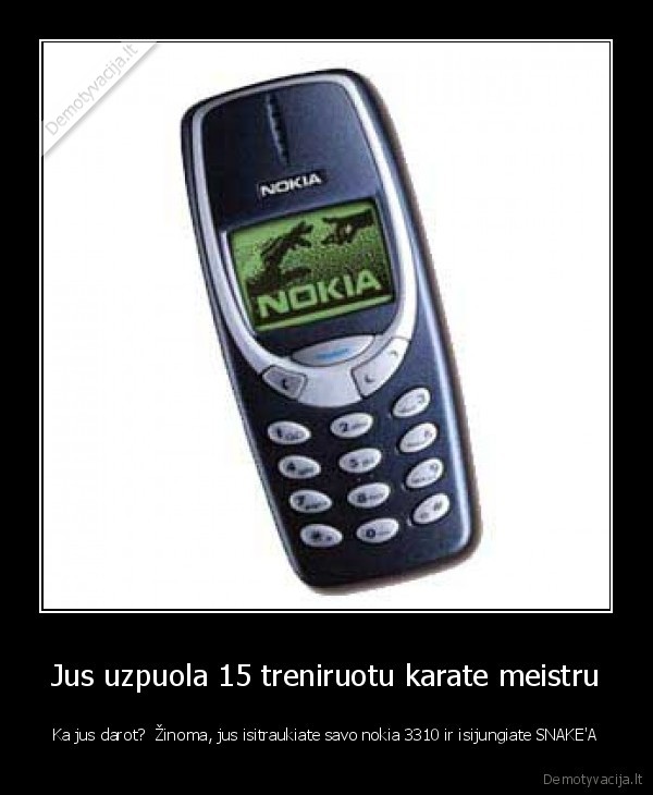 Jus uzpuola 15 treniruotu karate meistru - Ka jus darot?  Žinoma, jus isitraukiate savo nokia 3310 ir isijungiate SNAKE'A