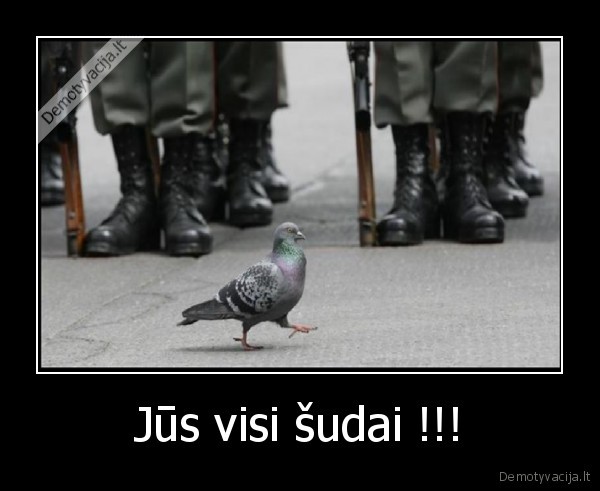 Jūs visi šudai !!! - 