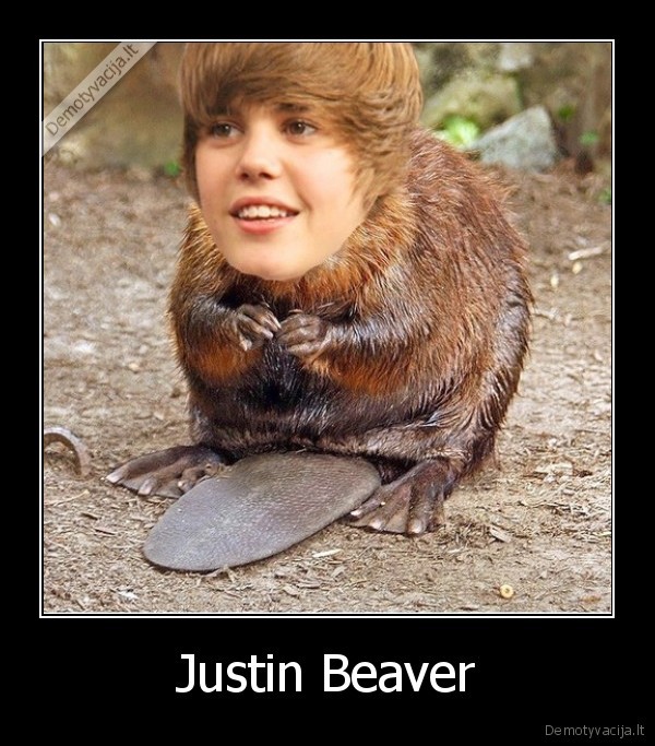 Justin Beaver - 