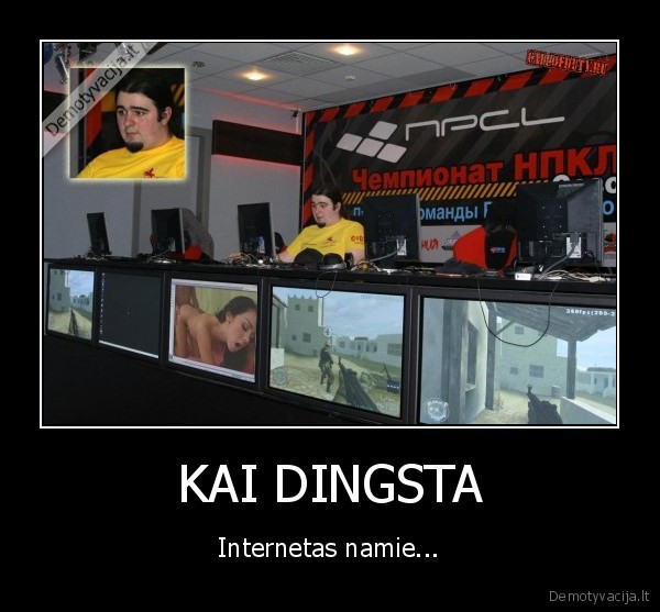 KAI DINGSTA - Internetas namie...