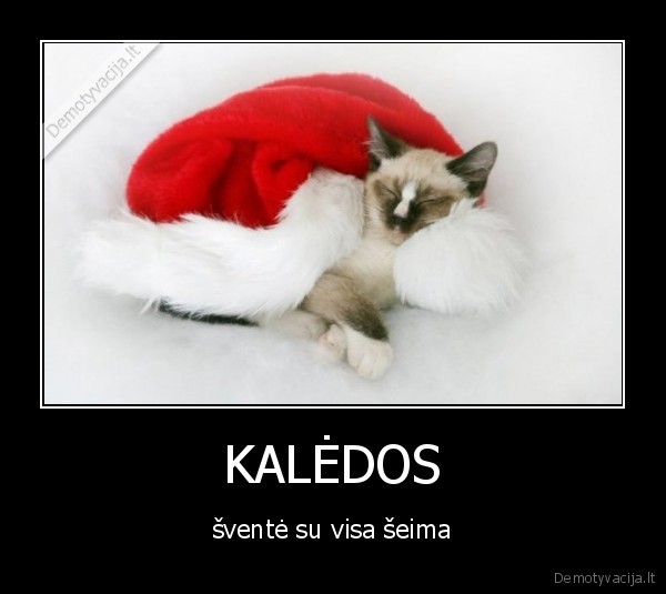 KALĖDOS - šventė su visa šeima