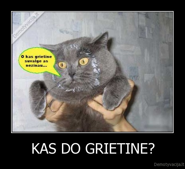 KAS DO GRIETINE? - 