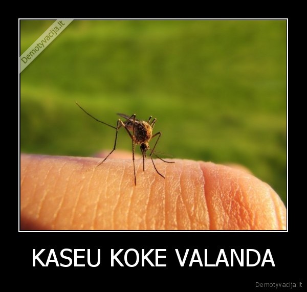 KASEU KOKE VALANDA - 