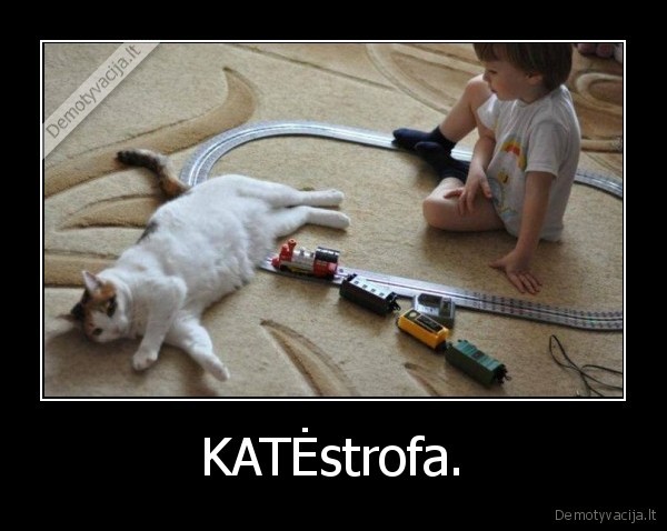 KATĖstrofa. - 