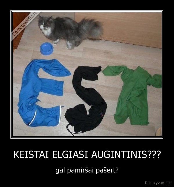 KEISTAI ELGIASI AUGINTINIS??? - gal pamiršai pašert?