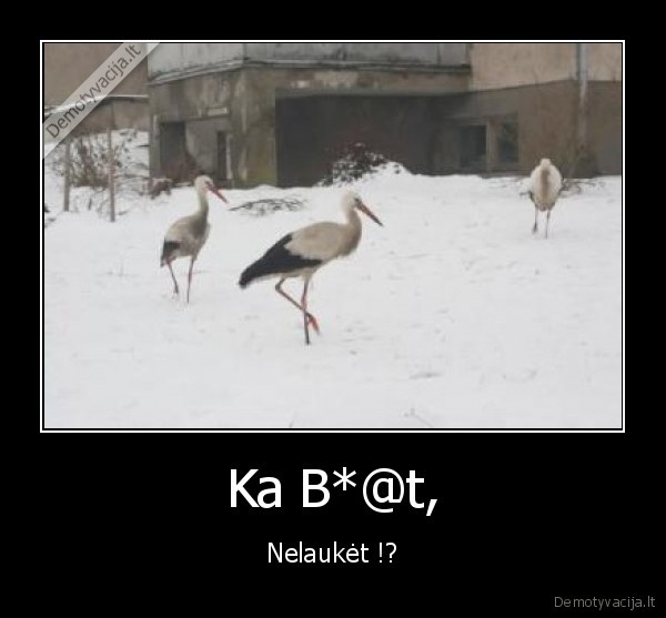 Ka B*@t, - Nelaukėt !?