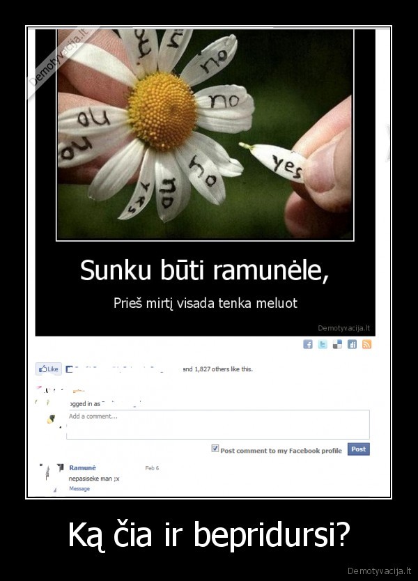 Ką čia ir bepridursi? - 