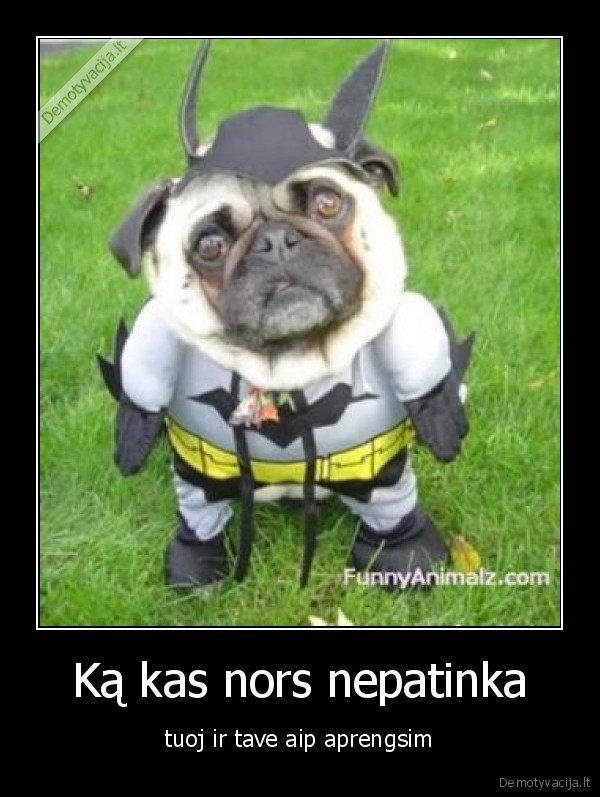 Ką kas nors nepatinka - tuoj ir tave aip aprengsim