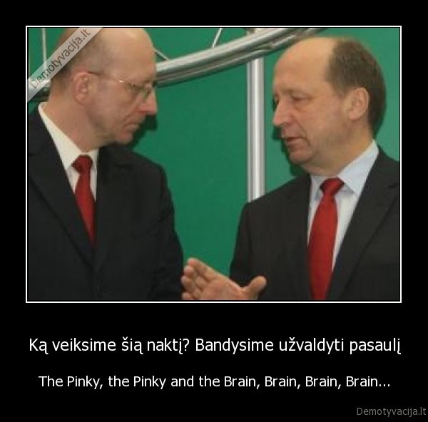 Ką veiksime šią naktį? Bandysime užvaldyti pasaulį - The Pinky, the Pinky and the Brain, Brain, Brain, Brain...