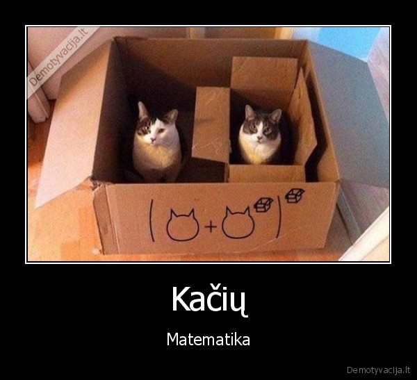 Kačių - Matematika