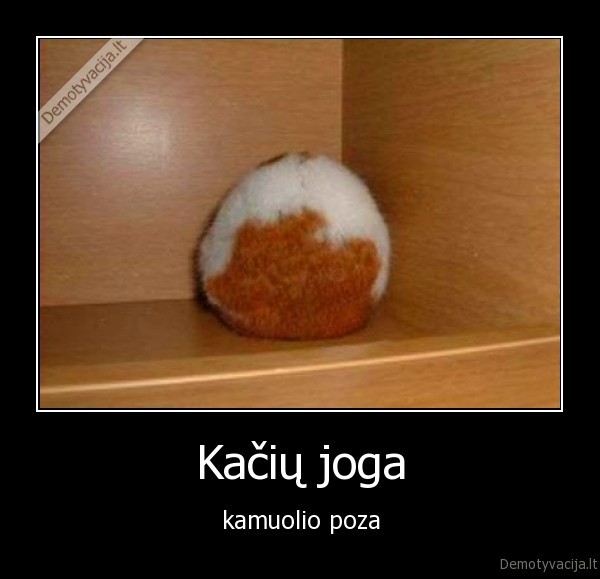 Kačių joga - kamuolio poza