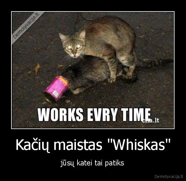 Kačių maistas "Whiskas" - jūsų katei tai patiks