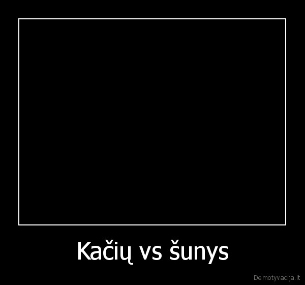 Kačių vs šunys - 